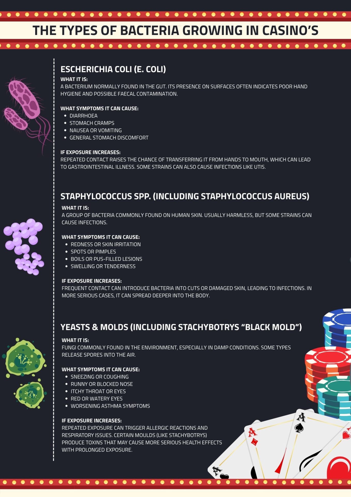 Reference infographic titled 'The Types of Bacteria Growing in Casinos' explaining E. coli, Staphylococcus spp. and yeasts and molds: what each is, the symptoms each can cause, and what happens if exposure increases.